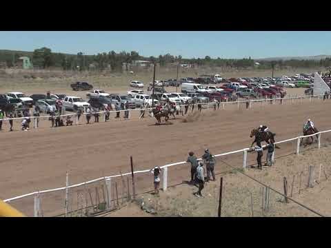AMIGAZO  Club Hípico "Viento Sur" - Cutral Co 11-12-2022