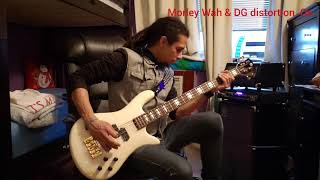 Video thumbnail for Ampeg PF 800 demo with Spector NS2A & DG AOU by Ivan Hardy