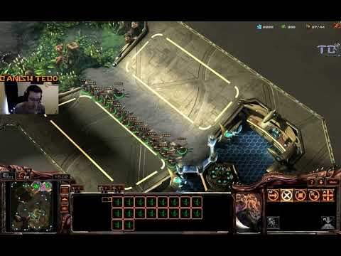 Learning SC2 control as Zerg