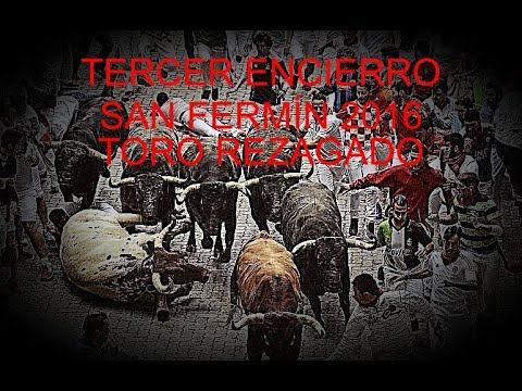 Toro Rezagado Tercer Encierro San Fermín 2016/ José Escolar