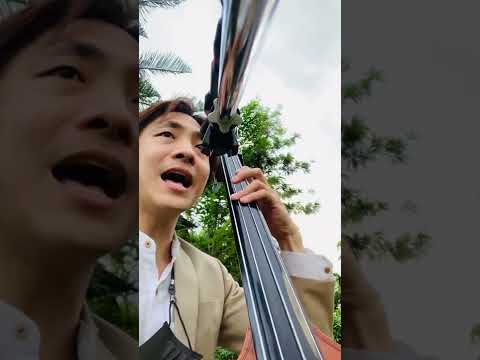 This music is classic popular music with jazzy sound. #allmyloving #jazz #uprightbass