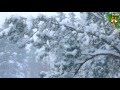 София Ротару - Белая зима. Sofia Rotaru - White winter. 