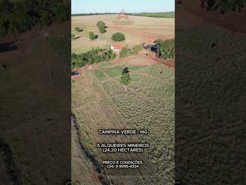 Sítio à venda em Campina Verde com 5 alqueires mineiros - Triangulo Mineiro - Minas Gerais