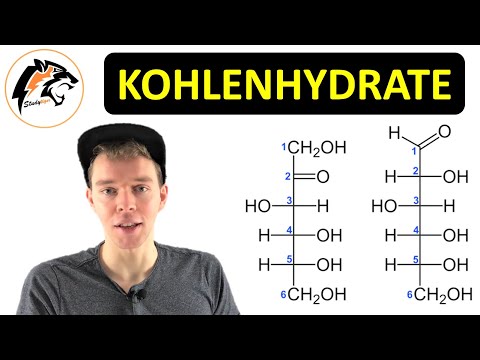 CARBOHYDRATES (simple/complex sugars) – Overview | Biochemistry