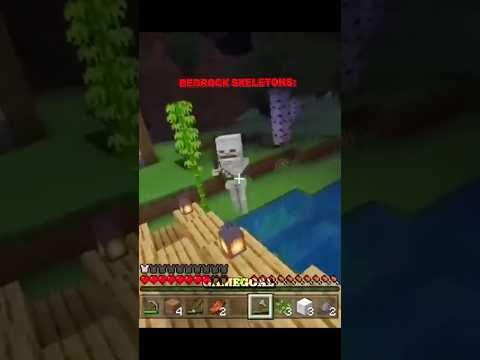 Java Skeletons vs Bedrock Skeletons 💀