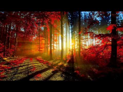 Emotional Captivating Music | Capo Productions - Time