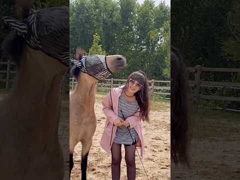 Ist Spirit wirklich ein ZIRKUSPONY? 😲 Sarina zeigt alle seine Tricks 🤯 #rosenhof