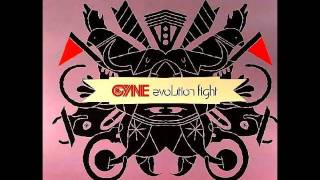 Evolution Flight   Cyne