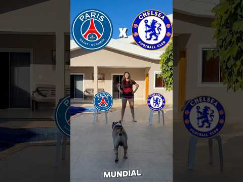 MEU CACHORRO ADIVINHOU QUEM VAI GANHAR NA FINAL DO MUNDIAL!!! CHELSEA X PSG🔥⚽️