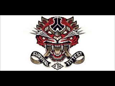 Neophyte Records bigger than  @ Defqon 1 2014