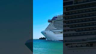 MSC Seaside 🛳️ #travel #like #subscribe #comment #cruise #vacation #shortvideo #shortsvideo #shorts