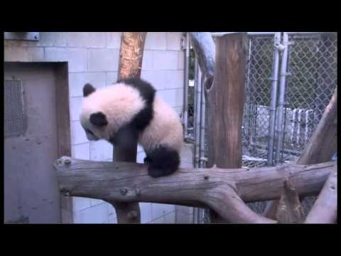 130120 Xiao Liwu Diary Jan 20 2012 @ Garden Room (4/4)