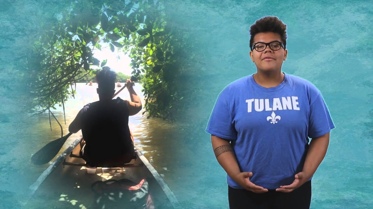 Public Service Takes You Places