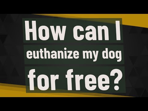 How can I euthanize my dog for free?