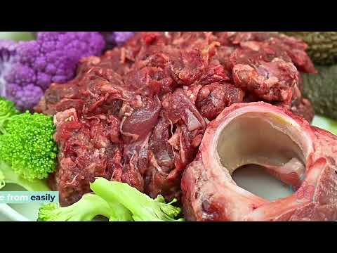 Ultimate Guide to Choosing the Best Dry Dog Food for Your Furry Friend