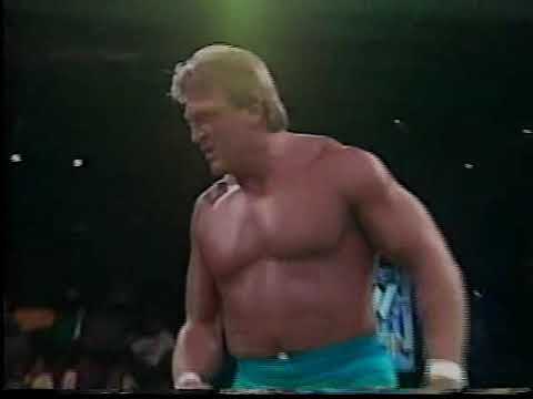 "Mr. Wonderful" Paul Orndorff vs. Mike Davis (10 14 1995 WCW Saturday Night)
