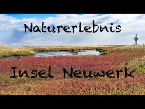 Naturerlebnis Insel Neuwerk