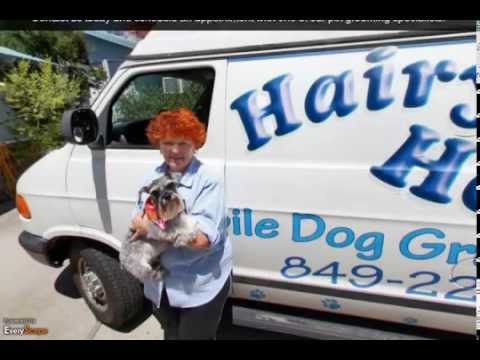 Hairy Hound Mobile Dog Grooming - Washoe Valley, NV - (775)849-2287 | ShowMeLocal.com