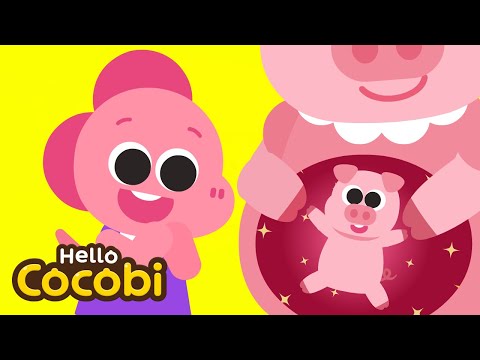How Was I Born? Mammals & Egg Laying Animal | Animal Song for Kids | Hello Cocobi