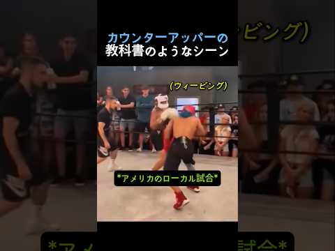カウンターアッパーの破壊力がヤバい #ボクシング  #格闘技