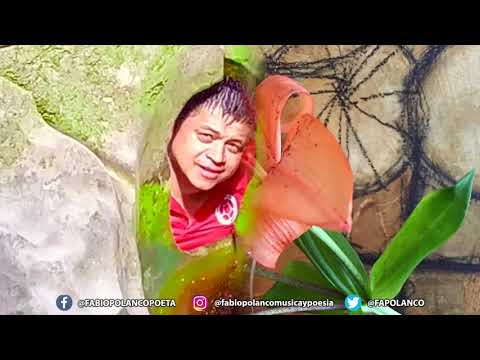 Pájaro Herido - Fabio Polanco (Interpretado por Mario Álvarez Quiroga)