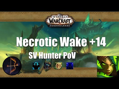 +14 Necrotic Wake Survival Hunter PoV