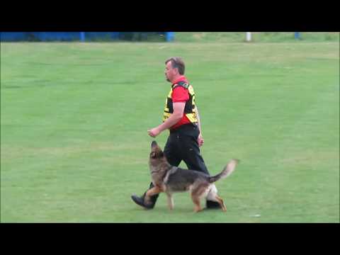 2017 Czech Nationals John Jabina with Jabina Kiwi obedience
