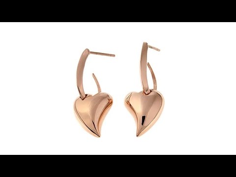Stately Steel Removable Heart Drop Earrings