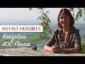 Beaujolais : AOC Fleurie