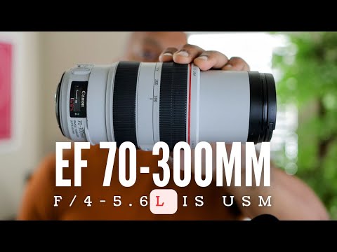 Video thumbnail for Video Review 2