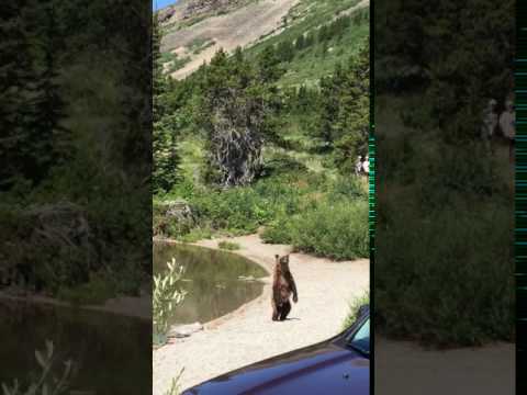 They leave their mom at 2, and he was still very young so we guessed he had just recently left his mom.