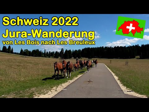 Schweiz 2022: Jura-Wanderung - Von Les Bois nach Les Breuleux