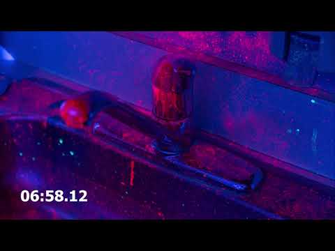 Savage Disinfection Services, LLC video.