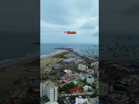 Manta #manabi #videodrone #djimini3 #go_droneX