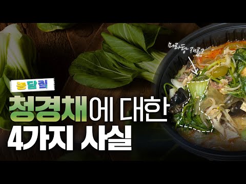 청경채, 당신이 몰랐던 4가지 사실|농담짚