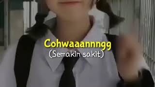 Download lagu storykeren maling kingkong mp3 Download lagu storykeren maling kingkong mp3