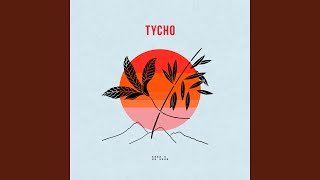 Our Park By Night (Mixed)