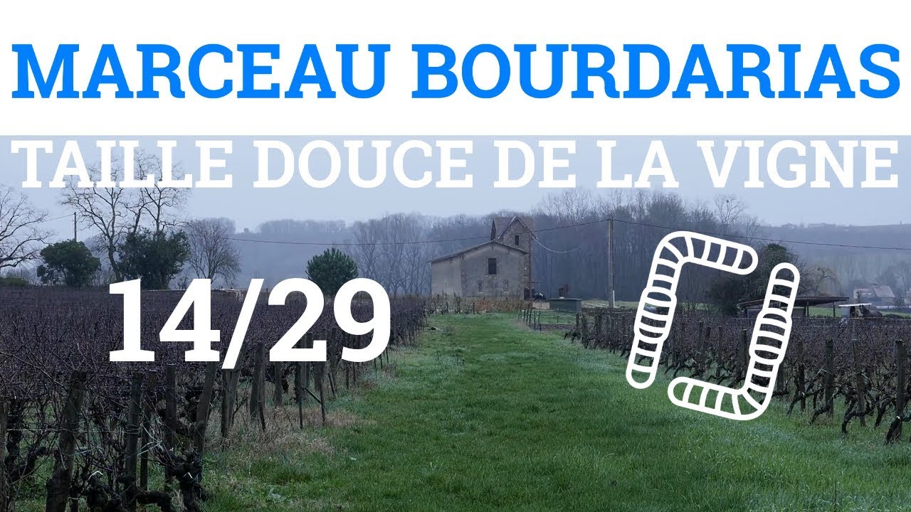14/29 - M. BOURDARIAS - Taille Douce de la Vigne - Organisation des Rangs