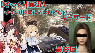 【ゆっくり実況】ゆっくり検索してはいけないキーワード 最終回