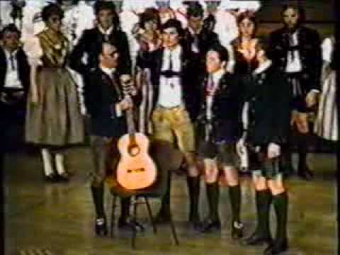 Lied, Goiserer Viergesang