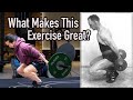 What Makes This Exercise So Great? The ORIGINAL HACK SQUAT for Quad Sweep