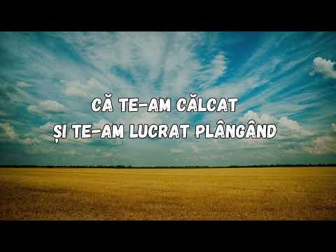 Ne vom intoarce intr-o zi acasa - Grupul Eden (versuri) - Cantari Crestine