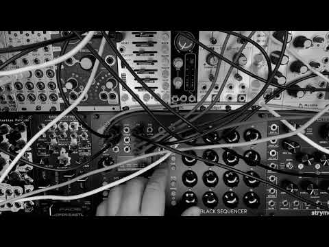Erica Synths Black Sequencer Making Random Generative Beats