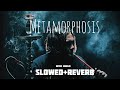 Inter World Metamorphosis Slowed And Reverb