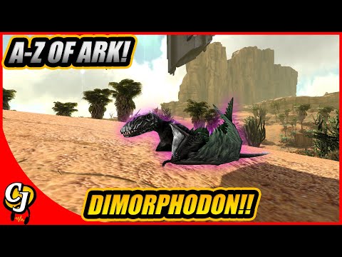 A-Z Of Ark! The DIMORPHODON And Why Its The Best Shoulder Pet!! || Ark Survival Evolved!