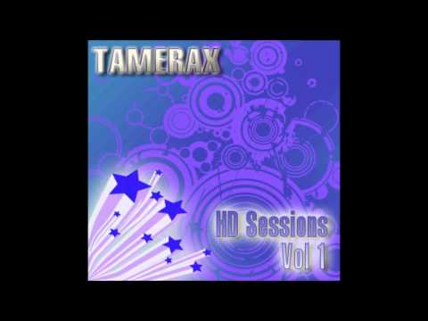 Hard Dance Mix (1 hr) - Tamerax - HD Sessions Vol. 1