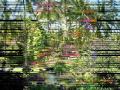 Michael Franks - Jardin Botanico