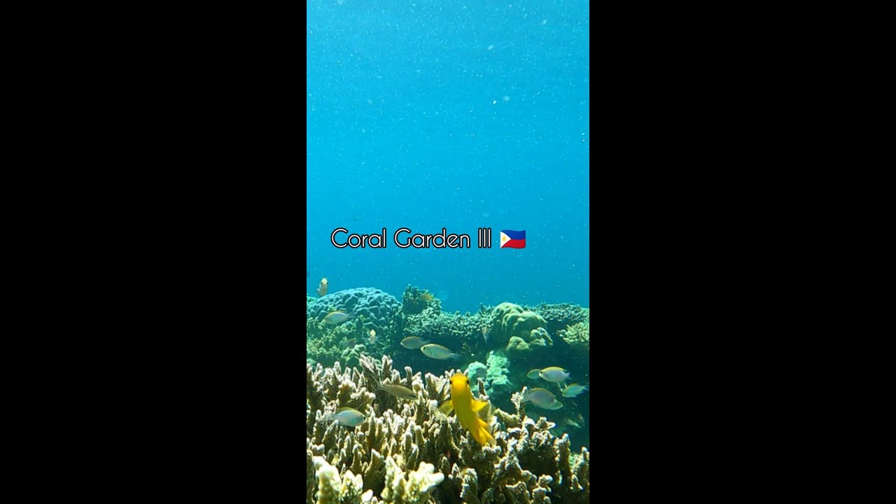 YouTube Short thumbnail