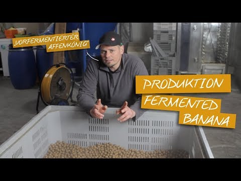 Der Boilietest | Karpfen lieben diese Boilies | Teil 1