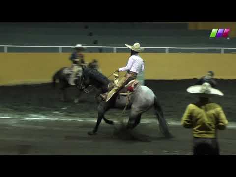 DLM278 080220 Bloque 2 - 3 VI Torneo de Puntas Largas -AVC- Luis Limas y Erick Ríos